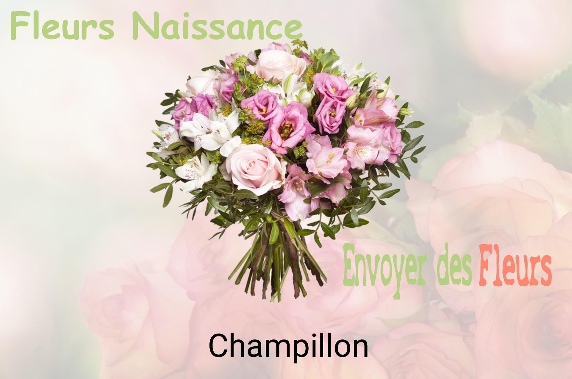 Bouquet de fleurs de naissance livré à Champillon